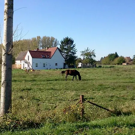 Country house Ferme Lenfant *