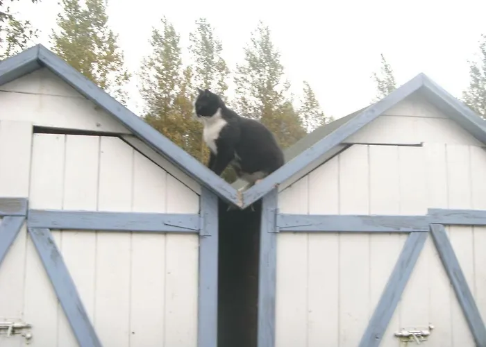 Ferme Lenfant Ville-Pommeroeul